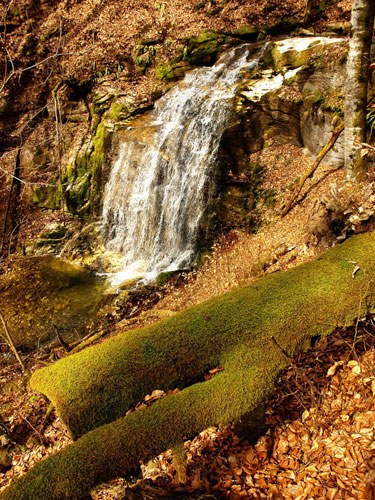 Cascada din dealul corbului (c) Petru Goja